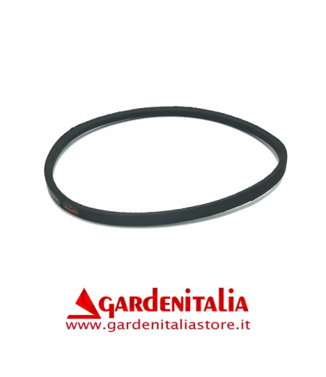 Cinghia Marcia Avanti Per Motocarriola Carry Cinghia Marcia Avanti Per Motocarriola Carry