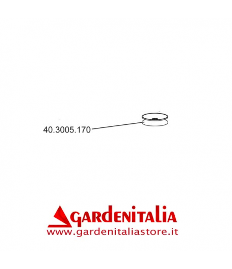 Puleggia D.76 per Fresa P 70 EVO Eurosystems Puleggia D.76 per Fresa P 70 EVO Eurosystems