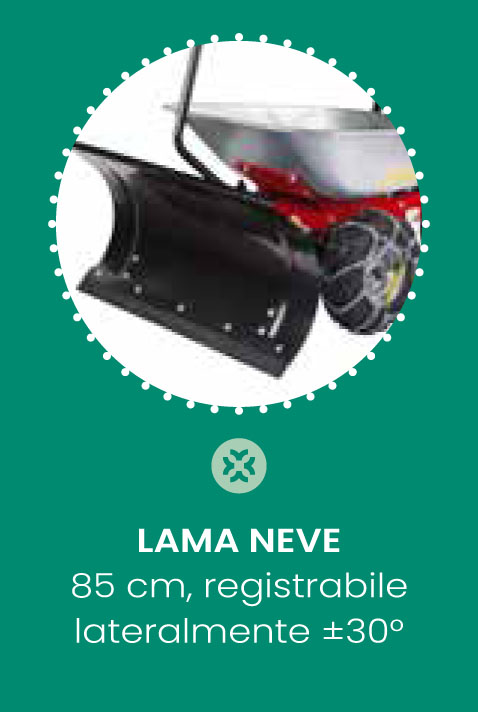 scheda_lamaneve.jpg