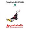 Esploso Ricambi Trinciaerba Falciatutto Eurosystems P 55 EVO Made in Italy