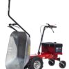 Motocarriola EUROSYSTEMS mod. CARRY trazionata a DOPPIA BATTERIA (300 W-24 V) - MADE IN ITALY