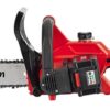 Motosega a Batteria al Litio 24 V - 4,0 Ah Grizzly AKS 2440 - Barra e Catena OREGON da 25 cm di taglio
