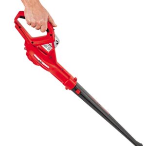 Soffiatore Grizzly ALB 2420 NO BATTERIA NO CARICA BATTERIA