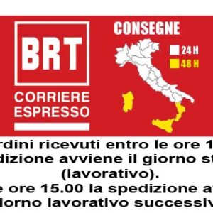 Aspiratore Soffiatore Grizzly ALS 4025 -NO BATTERIA NO CARICA BATTERIA