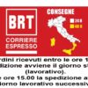 Soffiatore Grizzly ALB 2420 NO BATTERIA NO CARICA BATTERIA