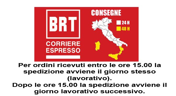 Motosega Grizzly AKS 2440 – Barra e Catena OREGON da 25 cm di taglio NO BATTERIA NO CARICA BATTERIA