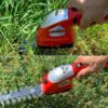 Forbice Tagliaerba Tagliasiepi al Litio GRIZZLY AGS 3680-2 D Lion 3,6 V