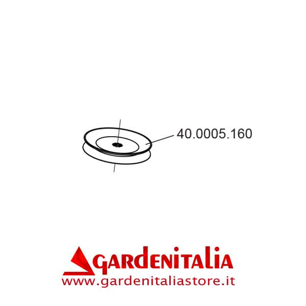 Puleggia D. 124,5 per P 70 EVO Eurosystems