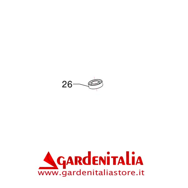 Cuscinetto 6004-2RS1 per P 70 EVO Eurosystems
