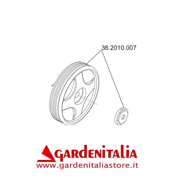 Ruota D.250 per P 70 EVO Eurosystems