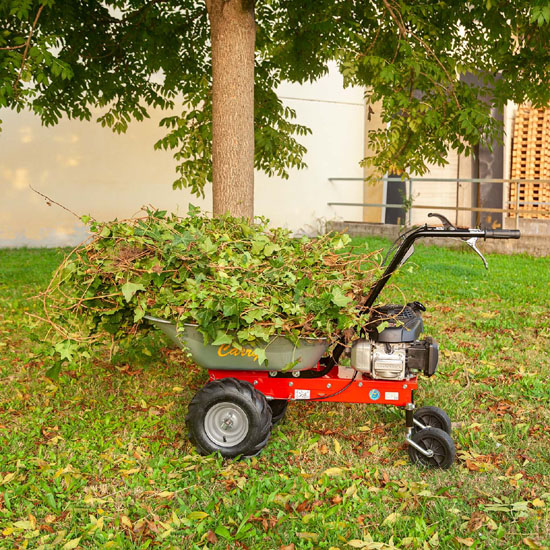 Motocarriola EUROSYSTEMS mod. CARRY trazionata con motore HONDA GCV 135 – MADE IN ITALY